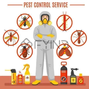 Structural Pest Control