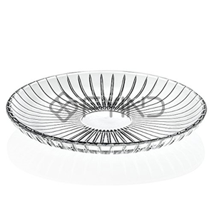 Disposable Food Tray