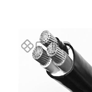 Power Cable