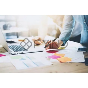 Comprehensive Project Management Service