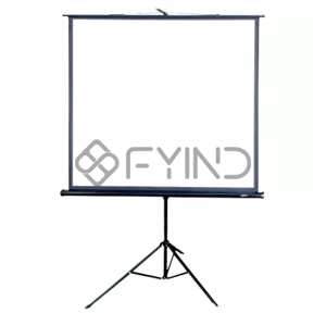 Projection Screen
