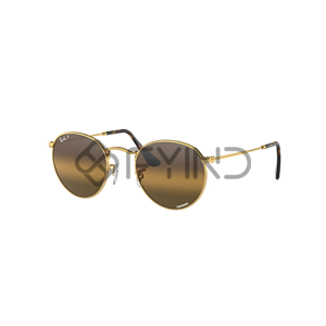 Sunglass