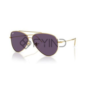 Sunglass