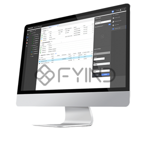 Software & Systems Engineering Service