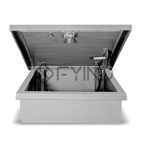Roof Door