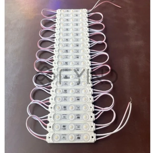 Light Module