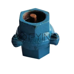 Check Valve
