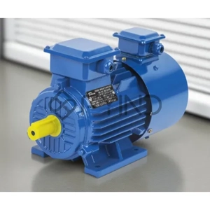 Induction Motor