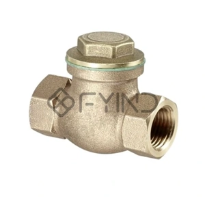 Check Valve