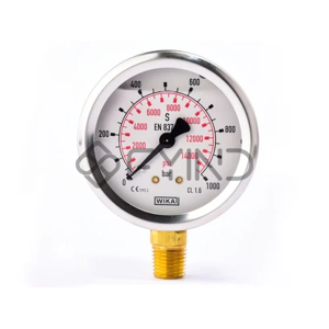Pressure Gauge