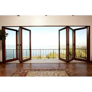 Folding Door