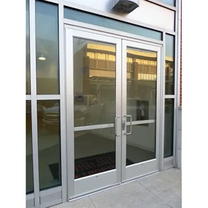 Swing Door