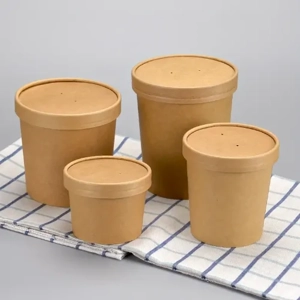 Disposable Bowl