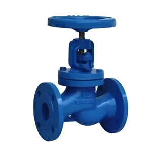 Globe Valve