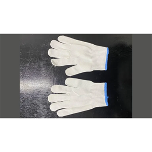 Protective Glove
