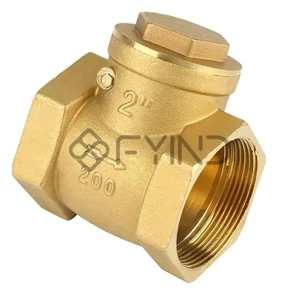 Check Valve