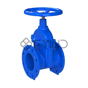 Gate Valve