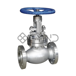 Globe Valve