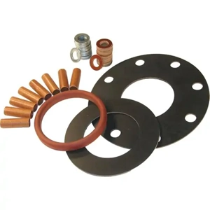 Non Metallic Gasket
