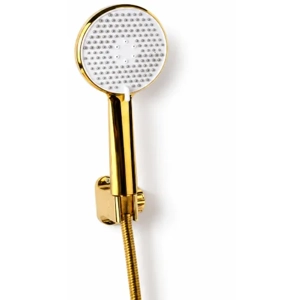 Shower Head