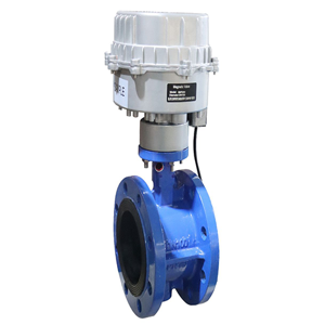 Control Valve