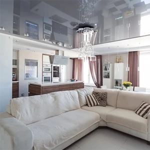 Ceiling Erection & Repair Service