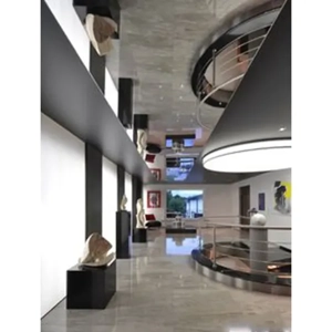 Suspended Ceiling System