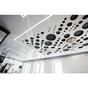 Suspended Ceiling System