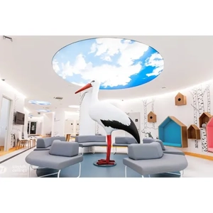 Suspended Ceiling System