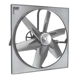 Wall Fan