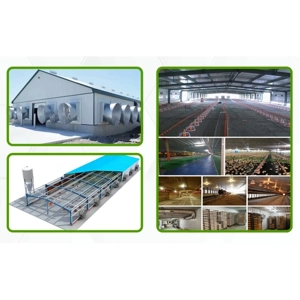 Metal Building Fabrication & Installation Service