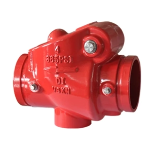 Check Valve