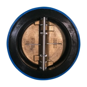 Check Valve