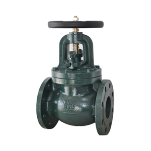 Globe Valve
