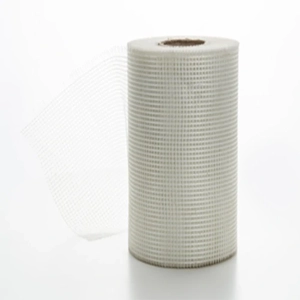 Mesh