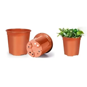 Planters