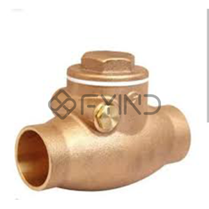 Check Valve
