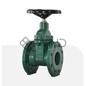 Check Valve