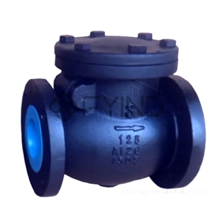 Check Valve