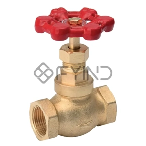 Globe Valve