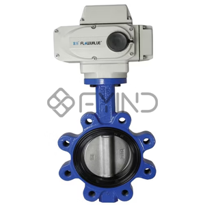 Butterfly Valve