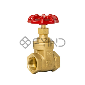 Gate Valve