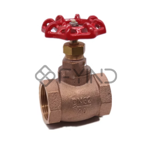 Globe Valve