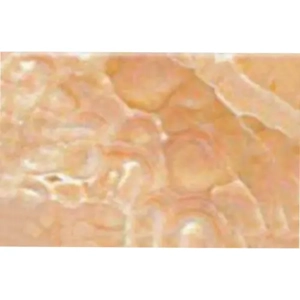 Sandstone