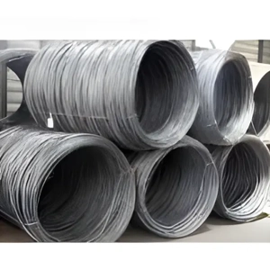 Steel Coil