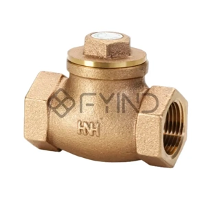 Check Valve