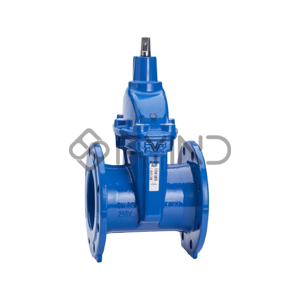 Gate Valve