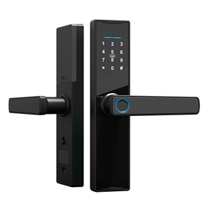 Door Lock