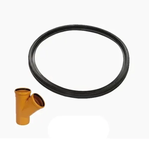 Sealing Ring
