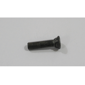 Carriage Bolt